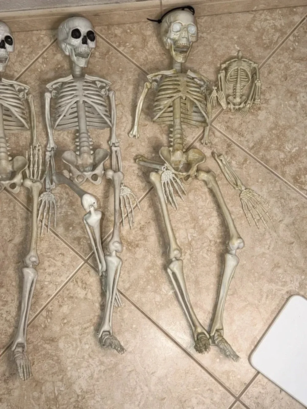 Halloween Posable Plastic Skeletons Bundle - Crafting/Decorating Lot of 5